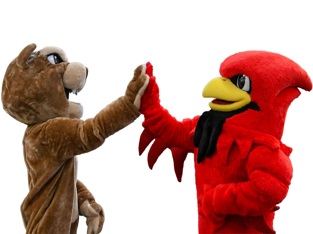 A cougar mascot and bird mascot high fiving